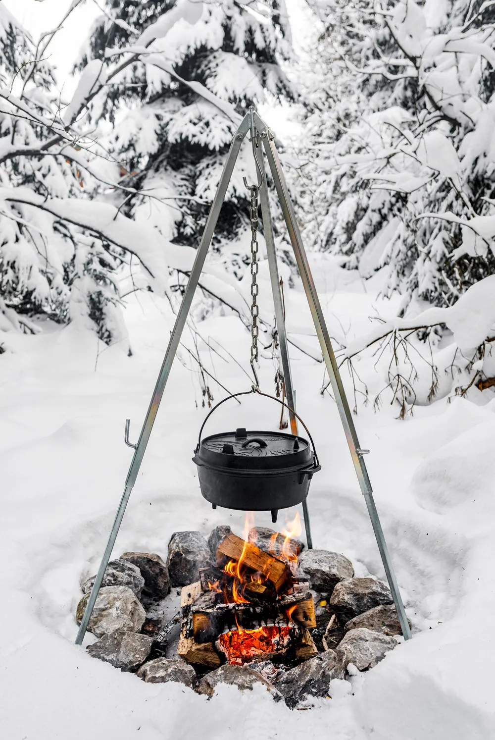 Petromax Dutch Oven FT6 Black | Buy Petromax Dutch Oven FT6 Black here | Outnorth