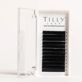 Tilly Lash Easy Fan Mixed Tray 0.05D